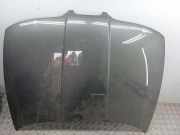 Motorhaube SEAT TOLEDO II (1M2) 1.9 TDI