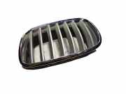 Vorderer oberer Gitter BMW X6 (E71, E72) xDrive 35 d 51137171395 7157687