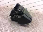 Luftfiltergehäuse Smart Forfour (454) 165003255R