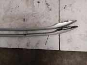 Dachreling links PEUGEOT 407 (6D_) 2.2 HDi 170 96496914