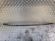 Dachleiste links SKODA FABIA I (6Y2) 1.4 TDI