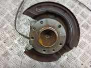 Nabe hinten rechts NISSAN JUKE (F16) DIG-T 117