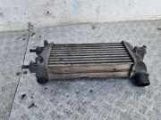 Ladeluftkühler FIAT 500 (312_) 1.3 D Multijet C542