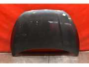 Motorhaube Hyundai iX35 (LM)