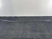 Dachleiste links HYUNDAI i30 Coupe 1.4