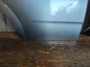 Tür hinten links FIAT CROMA (194_) 1.9 D Multijet