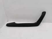 Türverkleidung vorne links