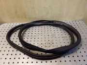 Dichtungsgummi der hinteren Tür (an der Karosserie) VOLVO S60 I 2.4 D5