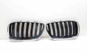 Vorderer oberer Gitter BMW X5 (E53) 3.0 d 7124816 7124815