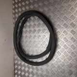 Zierleiste Tesla Model S (5YJS) 649