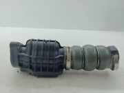 Entlüftungsschlauch CITROËN DS3 1.6 HDi 90 9685598580