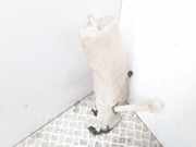 Behälter Scheibenwaschanlage Peugeot 607 () 9638831080