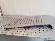 Heckklappe Gasdruckfeder links TOYOTA COROLLA Verso (_E12_) 2.0 D-4D (CDE120_) 689500W140