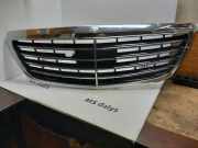 Vorderer oberer Gitter MERCEDES-BENZ S (W222, V222, X222) S 350 BlueTEC / d (222.132, 222.032, 222.123) 2228800683