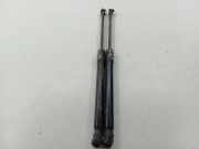 Heckklappe Gasdruckfeder links RENAULT KADJAR (HA_, HL_) 1.5 dCi 110 904516026R