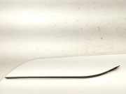 Vertikale Verkleidung auf der rechten Seite der Windschutzscheibe FORD GRAND C-MAX (DXA/CB7, DXA/CEU) 1.6 TDCi AM51-R03194