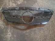 Vorderer oberer Gitter MERCEDES-BENZ SLK (R172) 300 (172.438) A1728880160