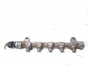Einspritzleiste Hyundai iX35 (LM) 0445214181
