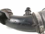 Schlauch für Luftversorgung Citroen DS4 (NX) 9683725080