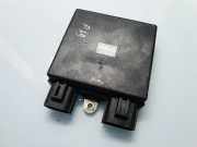 Steuergerät für Einspritzanlage Opel Signum (Z-C/S) 8973530400