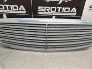 Vorderer oberer Gitter MERCEDES-BENZ E (W211) E 230 (211.052) A2118800283