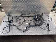 Kabelbaum NISSAN X-TRAIL (T31) 2.0 dCi