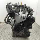 Motor ohne Anbauteile (Benzin) Ford Fiesta VI (CB1, CCN) SFJN