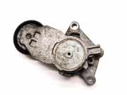 Riemenspanner VOLVO C30 1.6 D 419484