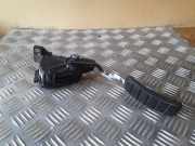 Fahrpedal Renault Laguna II (G) 8200003393