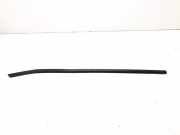 Türverkleidung rechts vorne BMW X3 (F25)