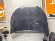 Motorhaube Opel Insignia A (G09)