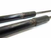 Heckklappe Gasdruckfeder rechts MERCEDES-BENZ CLC (CL203) CLC 220 CDI (203.708) Q1A2039800764