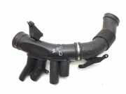 Luftdüsengehäuse Jaguar XK Cabriolet (X150) 9W839G790BA