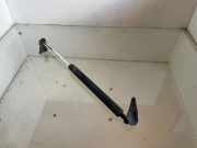 Heckklappe Gasdruckfeder links TOYOTA AVENSIS VERSO (_M2_) 2.0 D (CLM20_) 6896044080