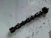 Auslassnockenwelle AUDI A4 (8EC, B7) 3.0 TDI quattro