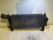 Ladeluftkühler NISSAN PATHFINDER III (R51) 2.5 dCi 4WD 14461EB360