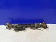Stoßdämpfer hinten links MERCEDES-BENZ R (W251, V251) R 320 CDI 4-matic (251.022, 251.122) A1645406710