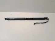 Heckklappe Gasdruckfeder rechts BMW 3 Gran Turismo (F34) 320 d 4867212