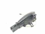 Türgriff rechts hinten BMW 3er Touring (E91)