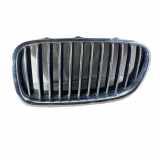 Vorderer oberer Gitter BMW 5 (F10) 535 i xDrive 7203649 7200727
