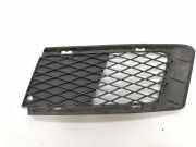 Ziergitter BMW 3er Coupe (E92) 5857711