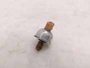 Kraftstoffdrucksensor NISSAN PATHFINDER III (R51) 2.5 dCi 4WD 45PP33