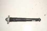 Stoßdämpfer hinten links VW ID.4 (E21) PRO 1EA512013BD