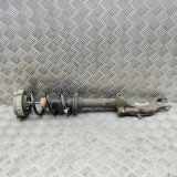 Stoßdämpfer vorne links AUDI A5 (F53) 2.0 TDI 8W0413031BA