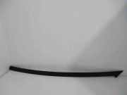 Dachleiste links CITROËN C3 II 1.4 HDi 70 18379101