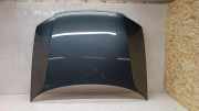 Motorhaube VW PASSAT B5 (3B3) 1.9 TDI