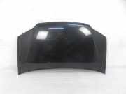 Motorhaube FIAT IDEA (350_) 1.4 16V