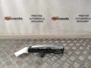 Türgriff links hinten Renault Espace IV (K) 8200452519