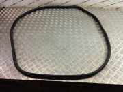 Türgummi links vorne BMW X3 (G01, F97) 7393423