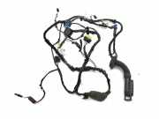 Türverkabelung hinten links